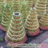 Ý nghĩa của cây phát lộc