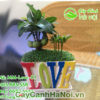 Ý nghĩa của cây tài lộc
